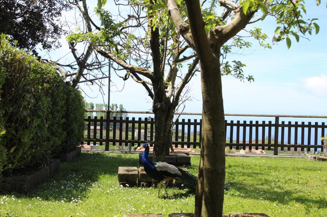 Agriturismo La Baita Agerola Extérieur photo
