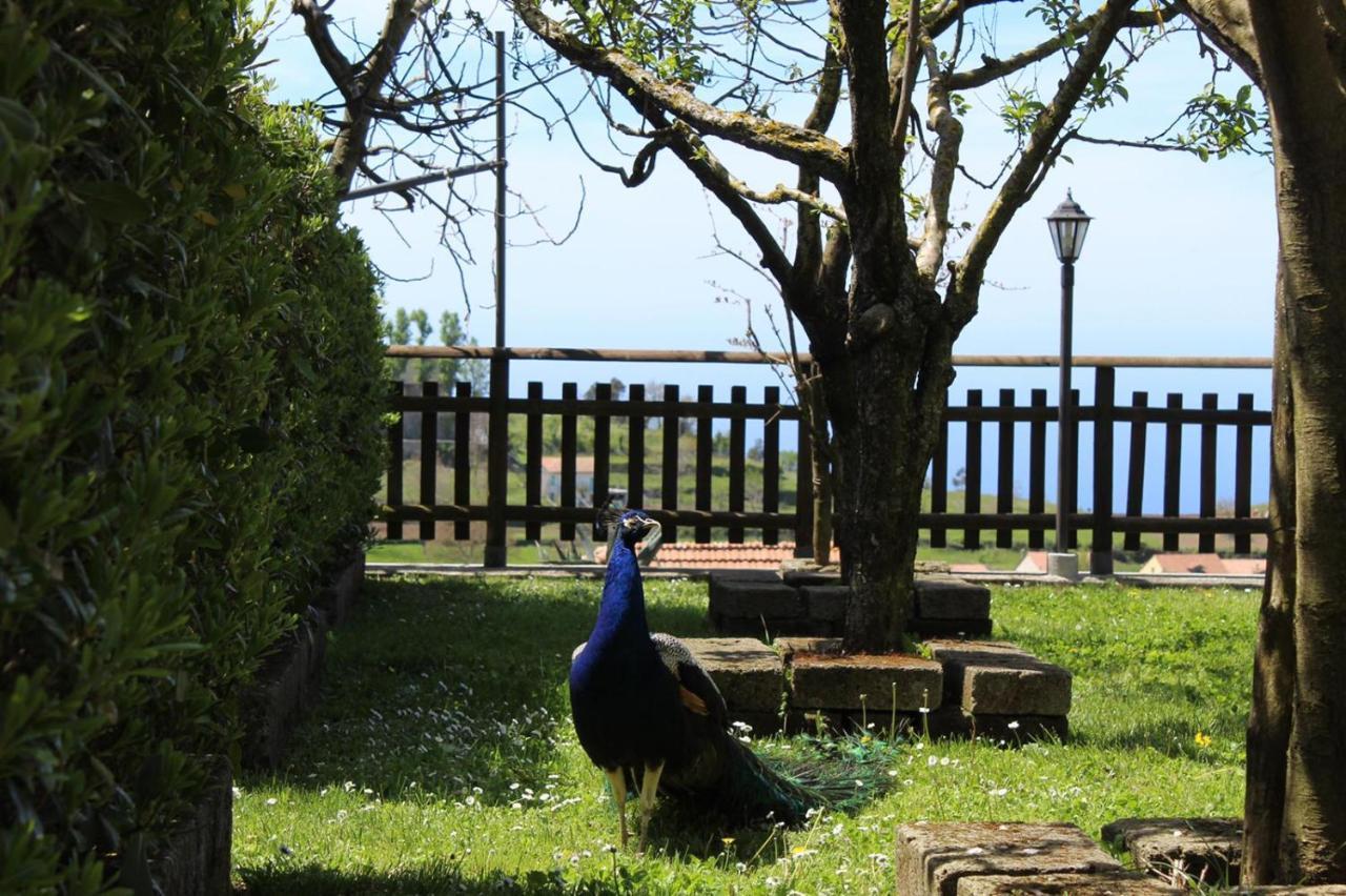 Agriturismo La Baita Agerola Extérieur photo
